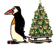 Pingouinfhgy