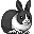 Rabbit8